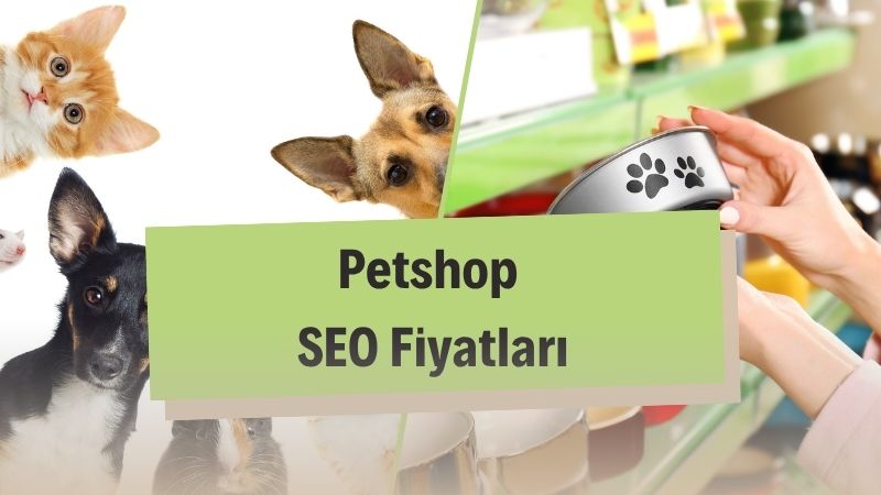 Petshop SEO Fiyatları 